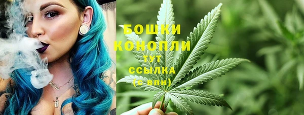 прущие крисы Абаза