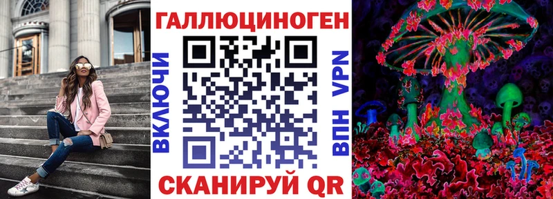 закладки  Чебоксары  Псилоцибиновые грибы MAGIC MUSHROOMS 